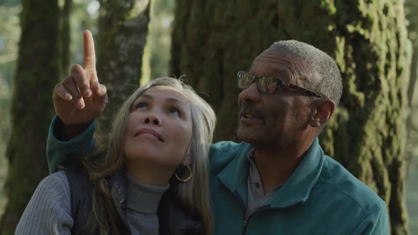 An elderly man embracing an elderly woman pointing upwards at a tree as the two gaze upwards