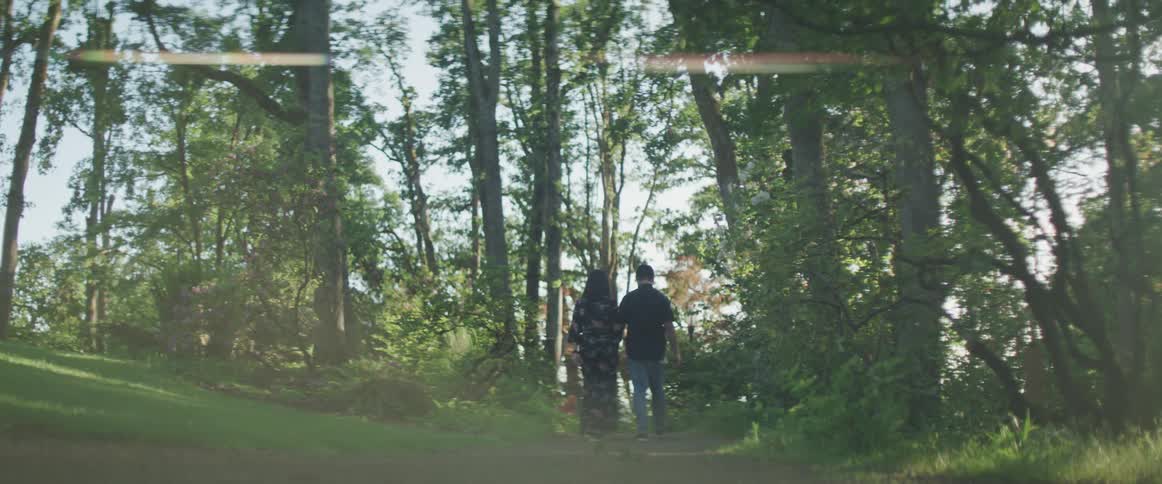 A couple stroll through a forest together