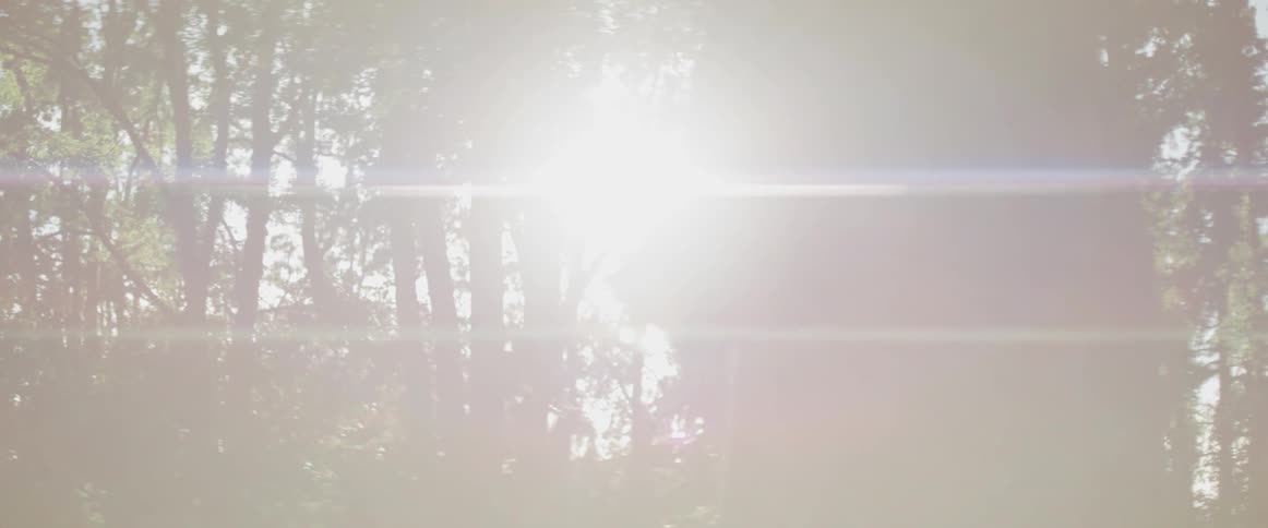 A person stands in the forest on a sunny day