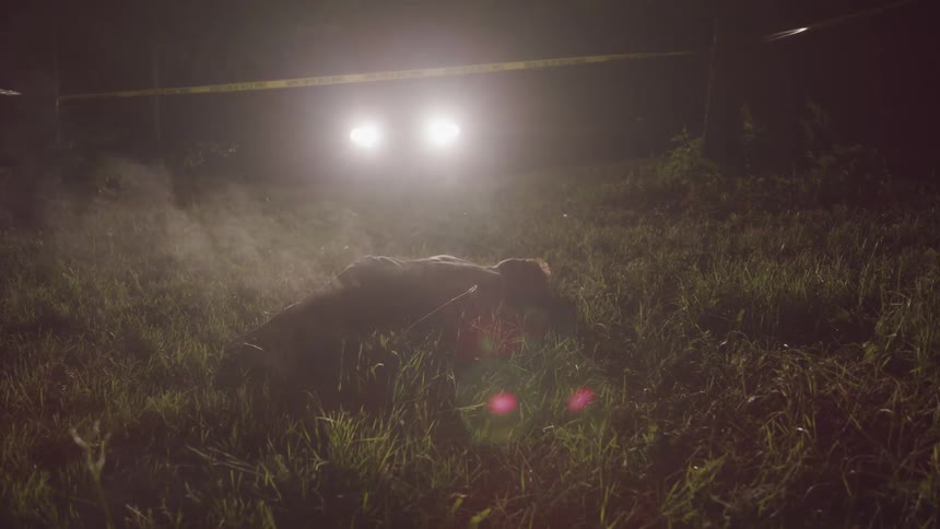 A body lies in a field at a crime scene