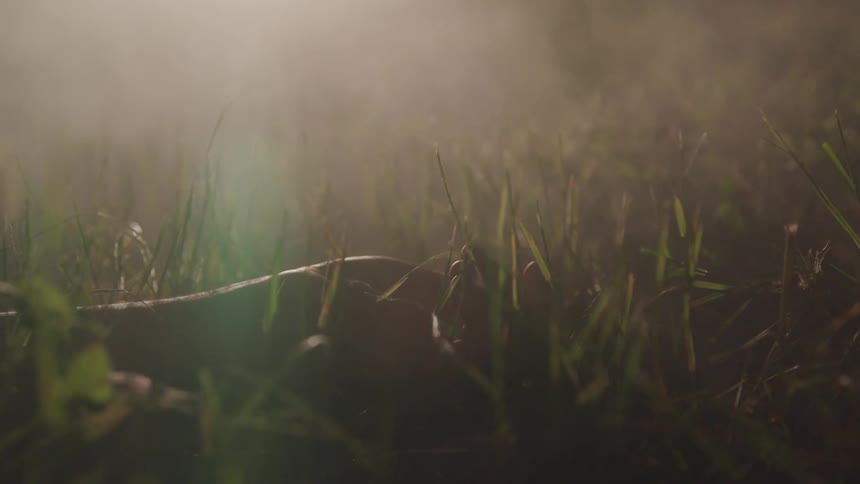 A person lies in the grass as fog rolls over