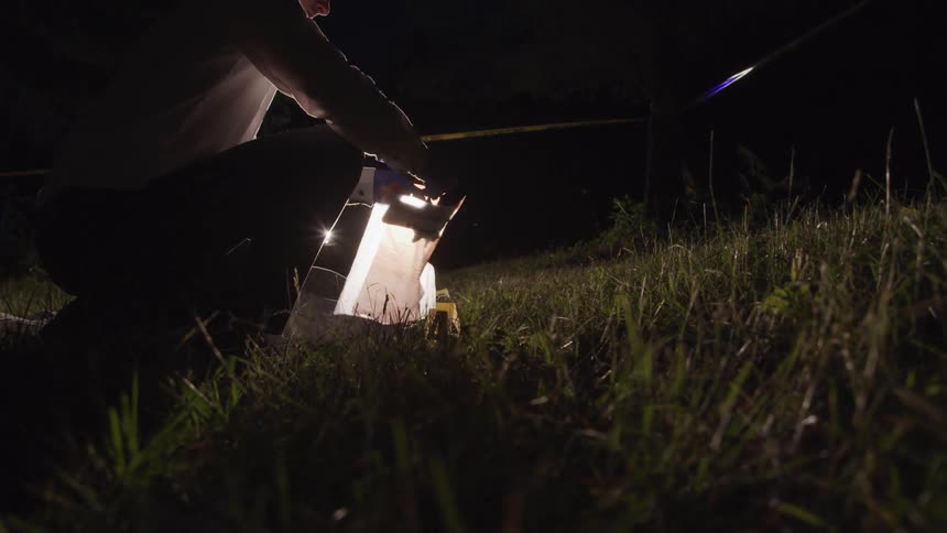 Investigator placing a gun in a plastic bag at a crime scene