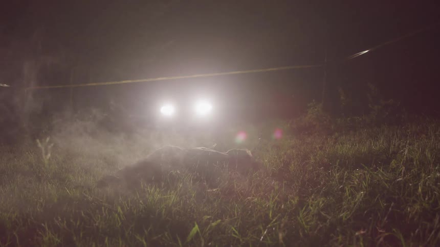 Caution tape ropes off a section of a field and police lights flash