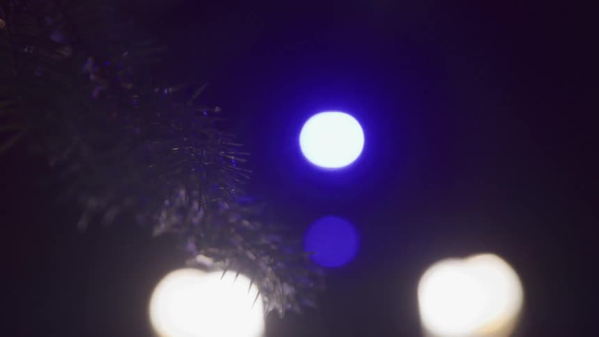 Leaves from a pine tree in the foreground with a police car in the dark in the background