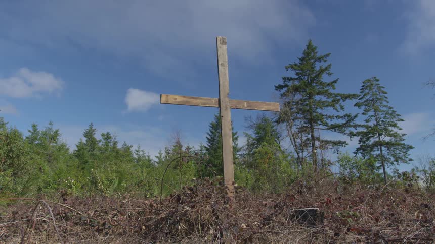 A wooden cross stands in dry brush near trees under a blue sky