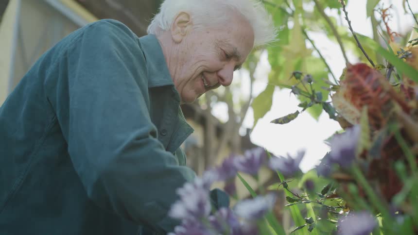Elderly land smiles as he digs in his flower garden beside the house
