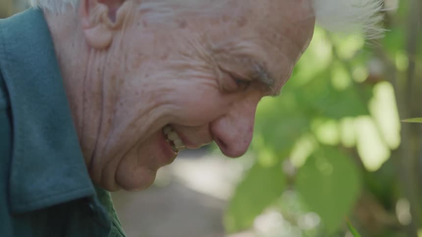 Elderly man taking care of outdoors garden on a sunny day