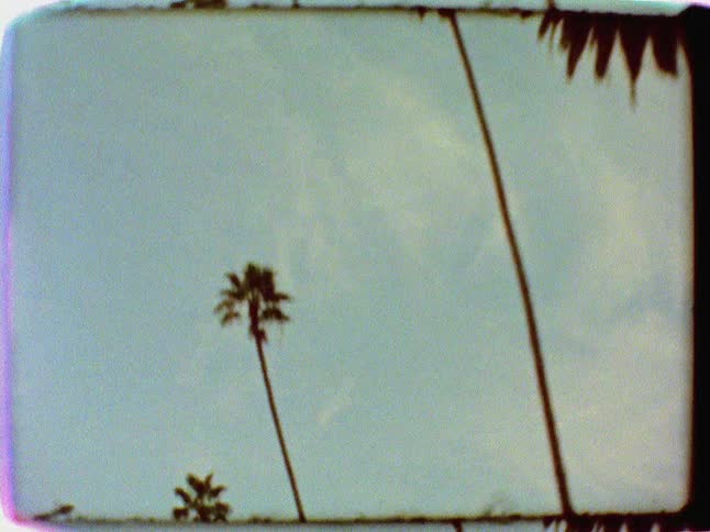 Driving pass tall palm trees looking up toward the clouds in the sky