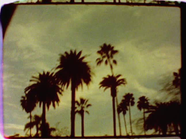 View of palm trees on the side of a road on a cloudy day