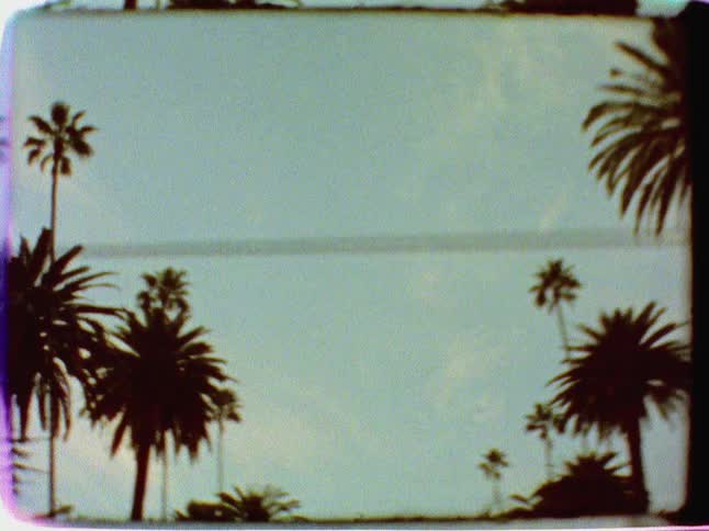 Palm trees line a street
