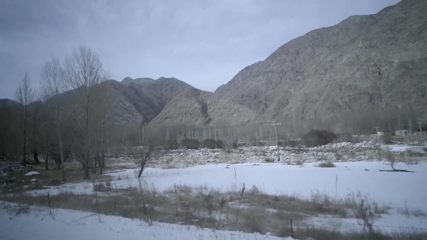 Snow covered ground with bare trees at the foot of mountains on a cloudy day