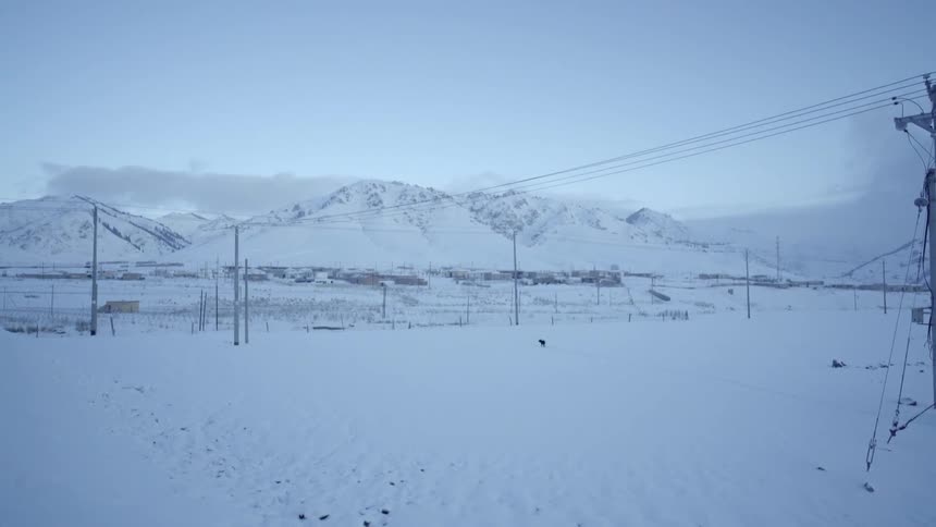 Dog running across snowy landscape