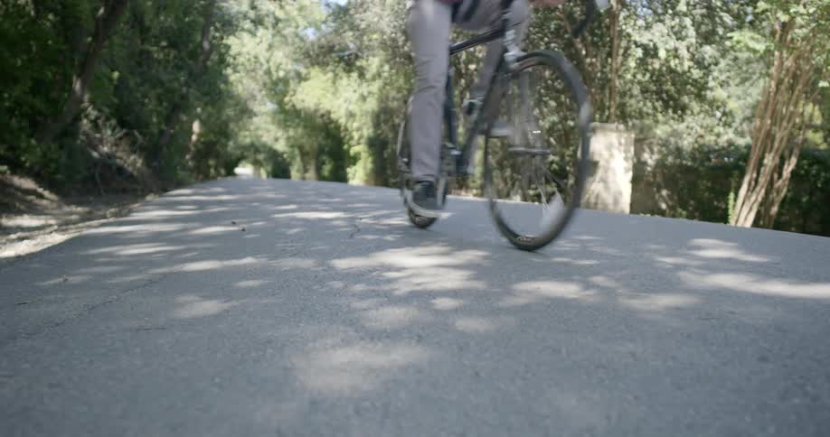 A man riding a bicycle down a paved road through a woodland