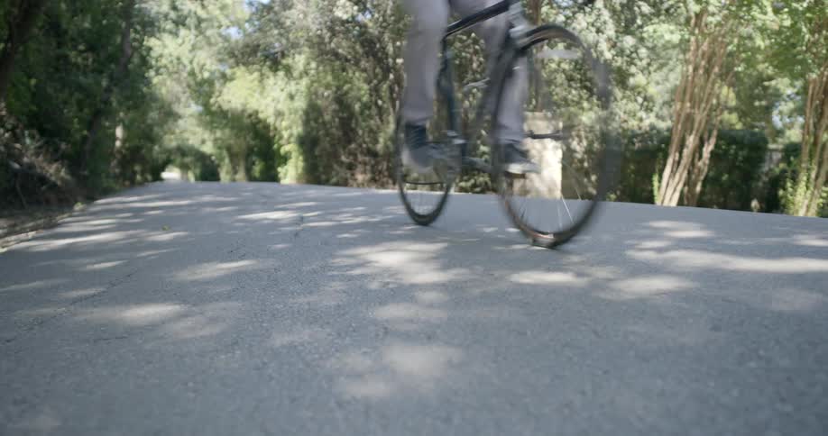 A man riding a bicycle along a road through a woodland
