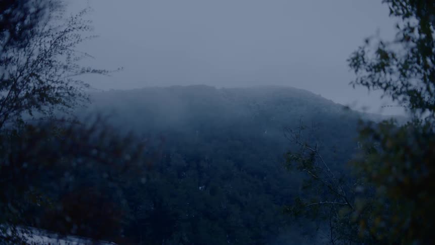 A forest covers the side of a mountain sitting under a dull gray sky thick with dark clouds