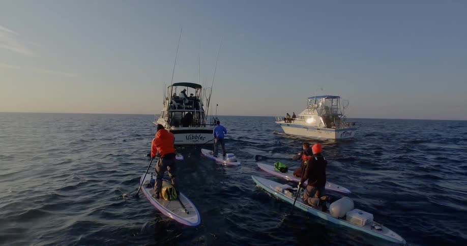 Several people are on kayaks behind two boats in the ocean water
