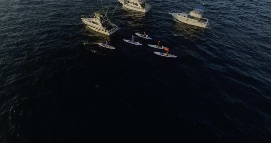 An aerial view of man doing kayak