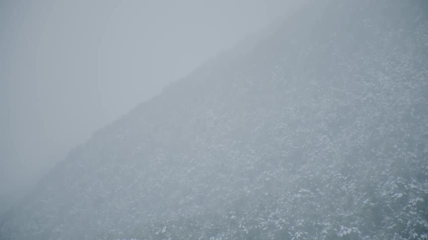 Smoke and snow covered trees