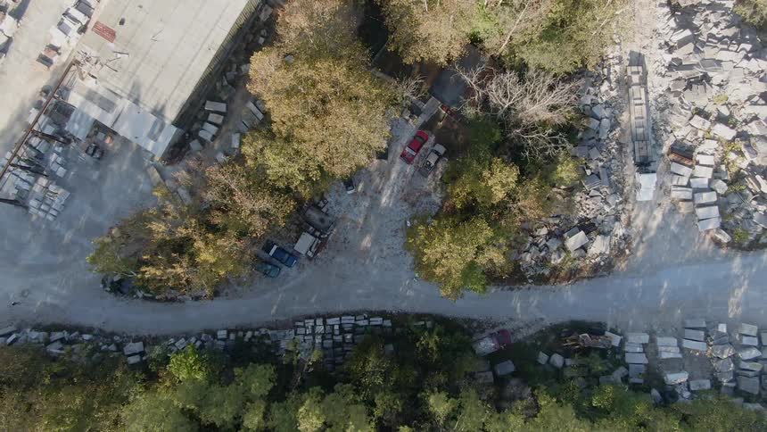 A neighborhood with trees and cars in the daytime