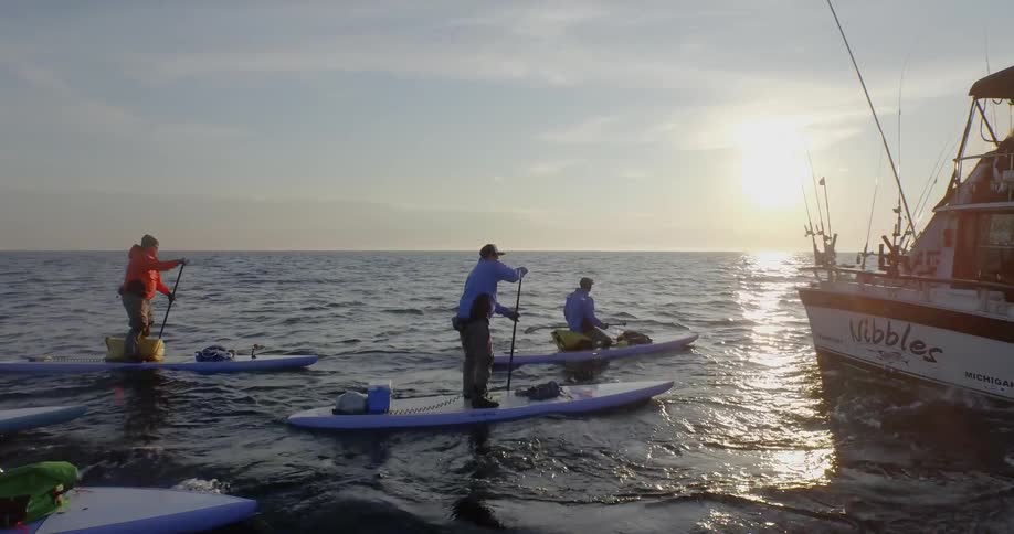 Many boats of all kinds flow through the water