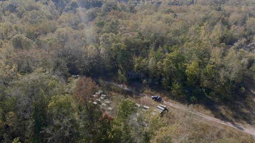 A truck drives through the forest