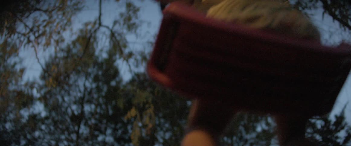 Little girl swings under the tree at dusk