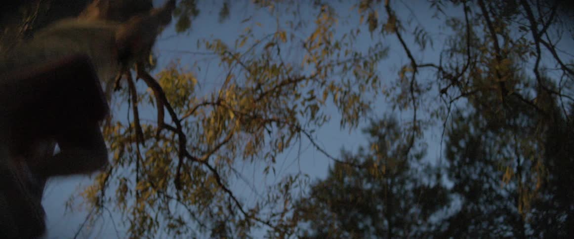 A young girl is swinging on a swing that is connected to the branch of a large tree
