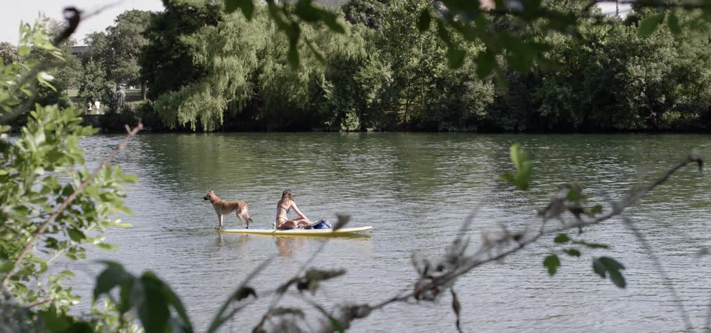 A woman riding on a surfboard with her dog