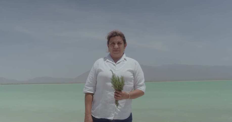 Woman holding herbs in one hand while standing on beach next to the ocean