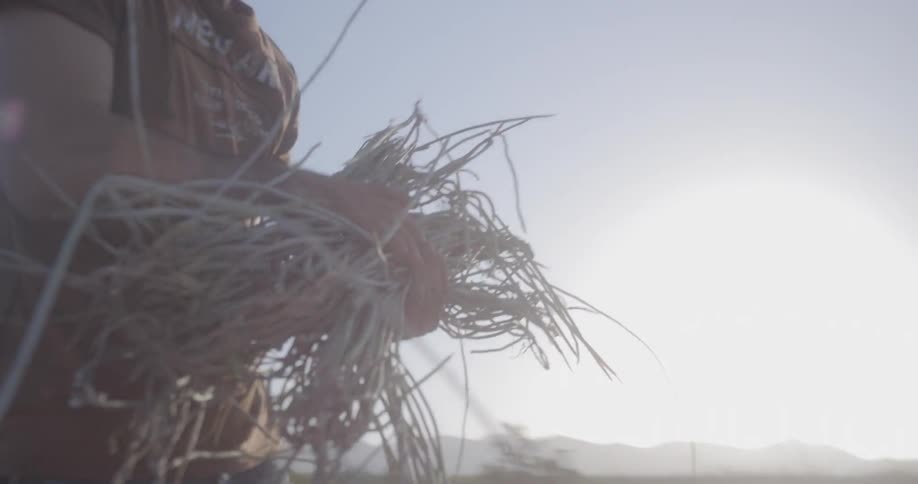 A man picks up a small bundle of vegetation up off of the ground and sets it down a few feet away