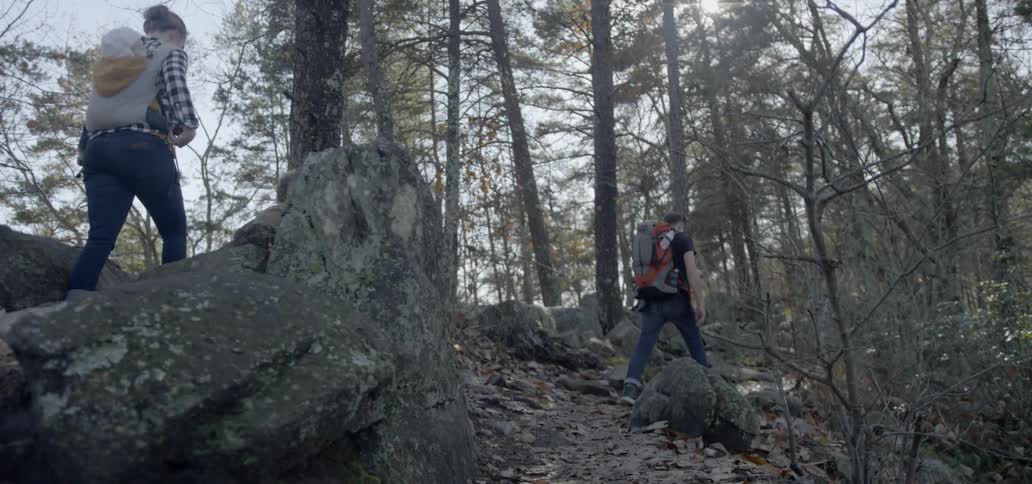 A group of people are hiking in the forest
