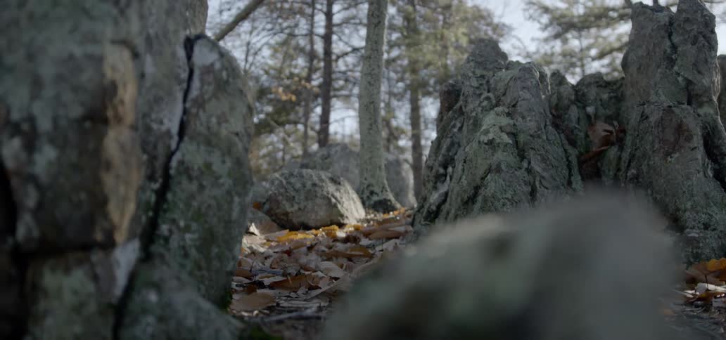 Leaves lie on the ground amongst large rocks