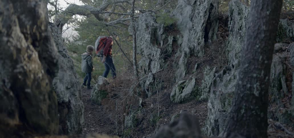A father and son hike in a forest