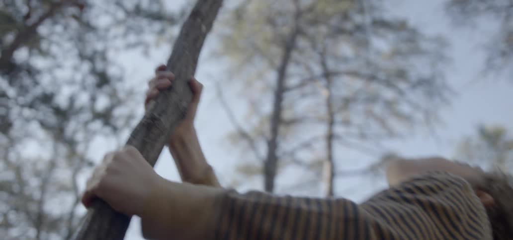 A boy tugs on a small tree shaking it back and forth