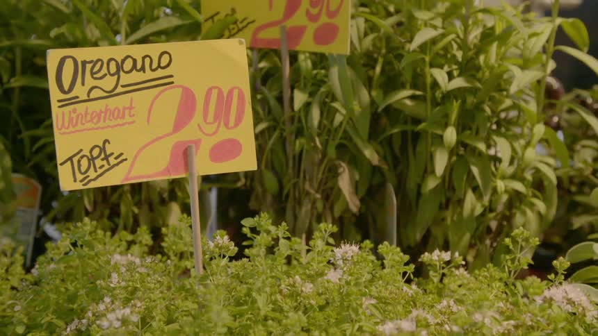 Herbs and signs advertising them