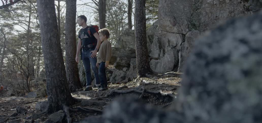 Father and son stand between trees and look around in the forest