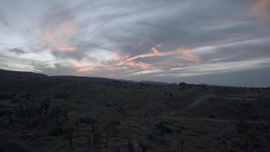 Passing over joshua trees and brush on a slope at sunset