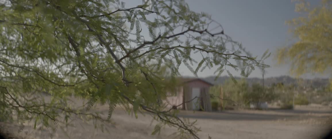 A small shack sits in the dirt with trees growing around it