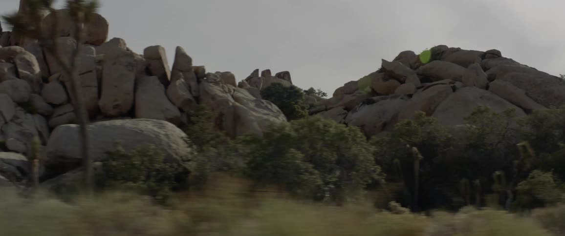 Joshua trees and brush with rock formations on a cloudy day