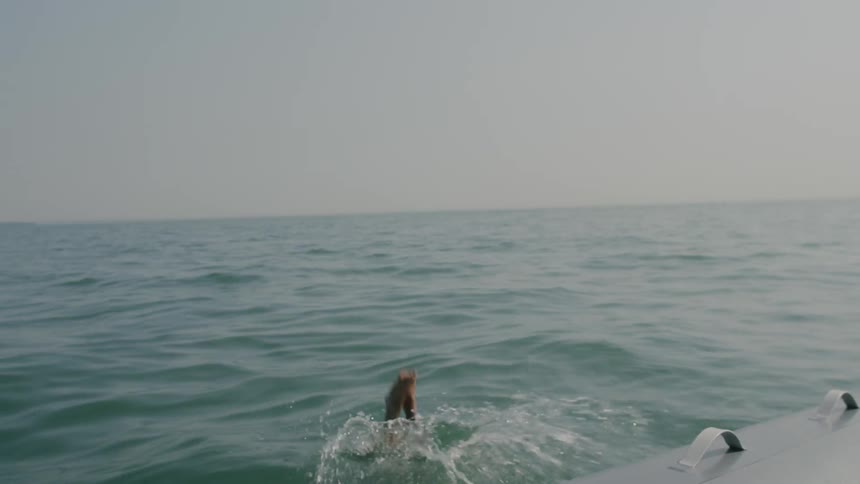 A man dives in to the water