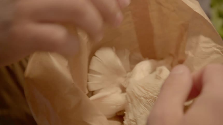 Mushrooms are placed in a bag