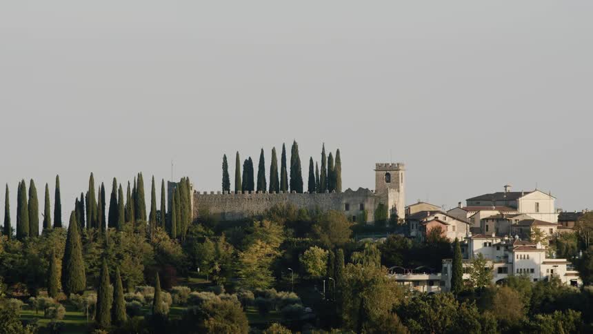 Tall trees surround a castle next to modern buildings