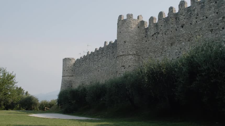 A castle wall with large bushes at its base and a forest in the distance