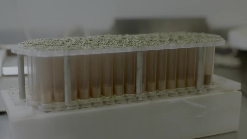 A person works with a rack of test tubes