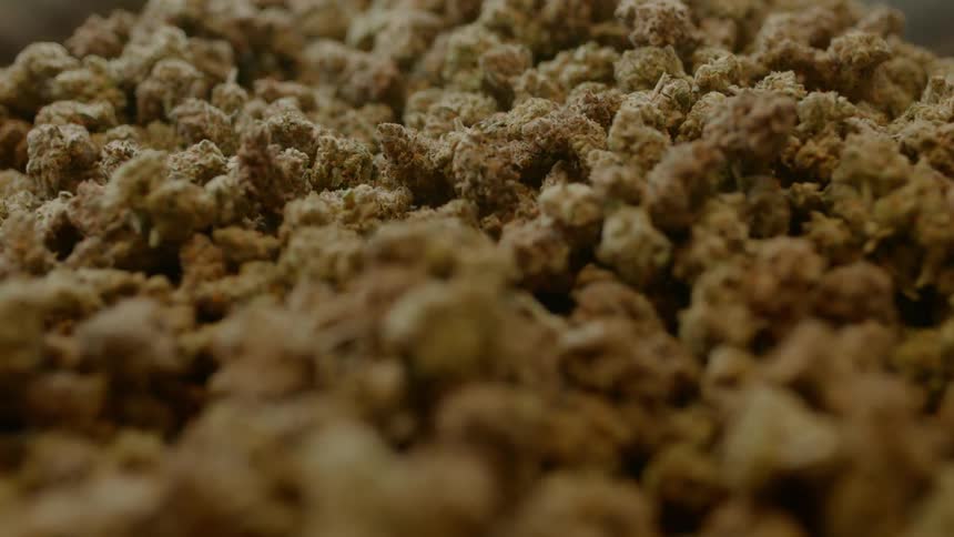 A huge pile of drugs is on the counter