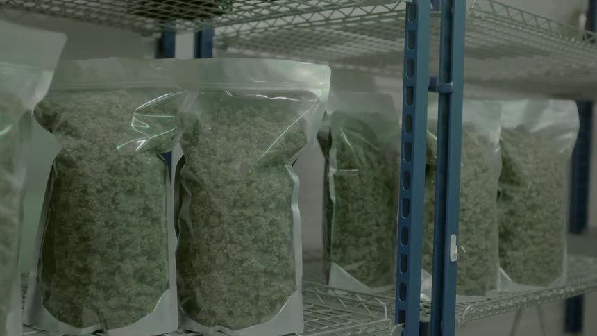 A lot of weed sitting in bags on a shelf