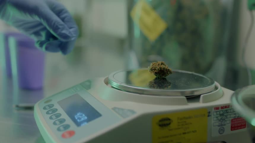 A person places an item on a scale in a lab