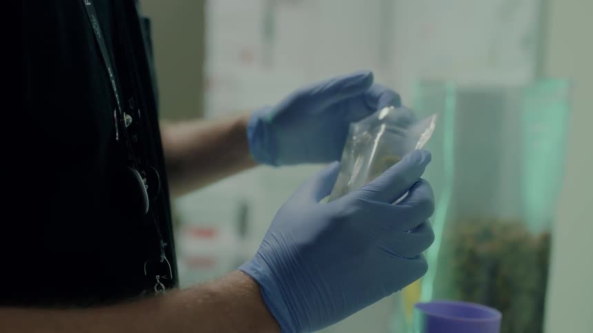 A person pouring things from a cup to a bag