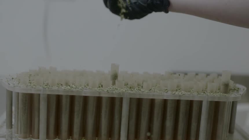 A person is pouring seeds into a device