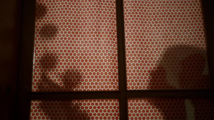 The silhouette of a person pulling down a string of lights behind a window shade